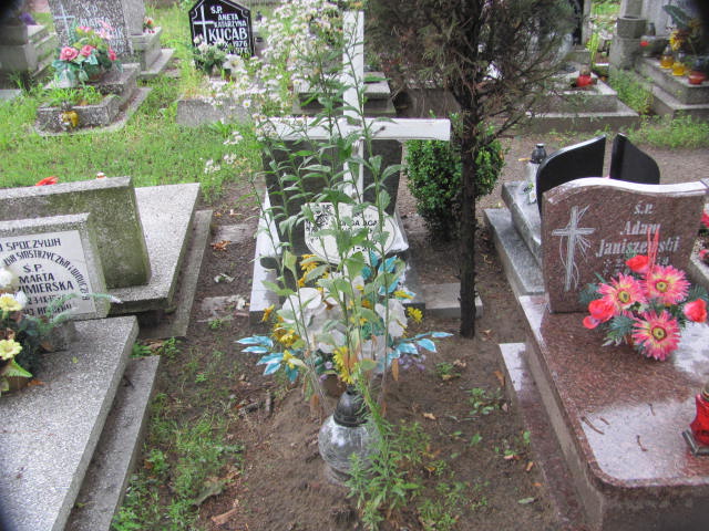 Grób Kinga Agata Chojnacka