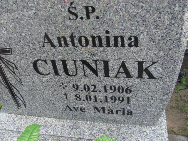 Robert Walkowiak 1969 Nowa Sól - Grobonet - Wyszukiwarka osób pochowanych