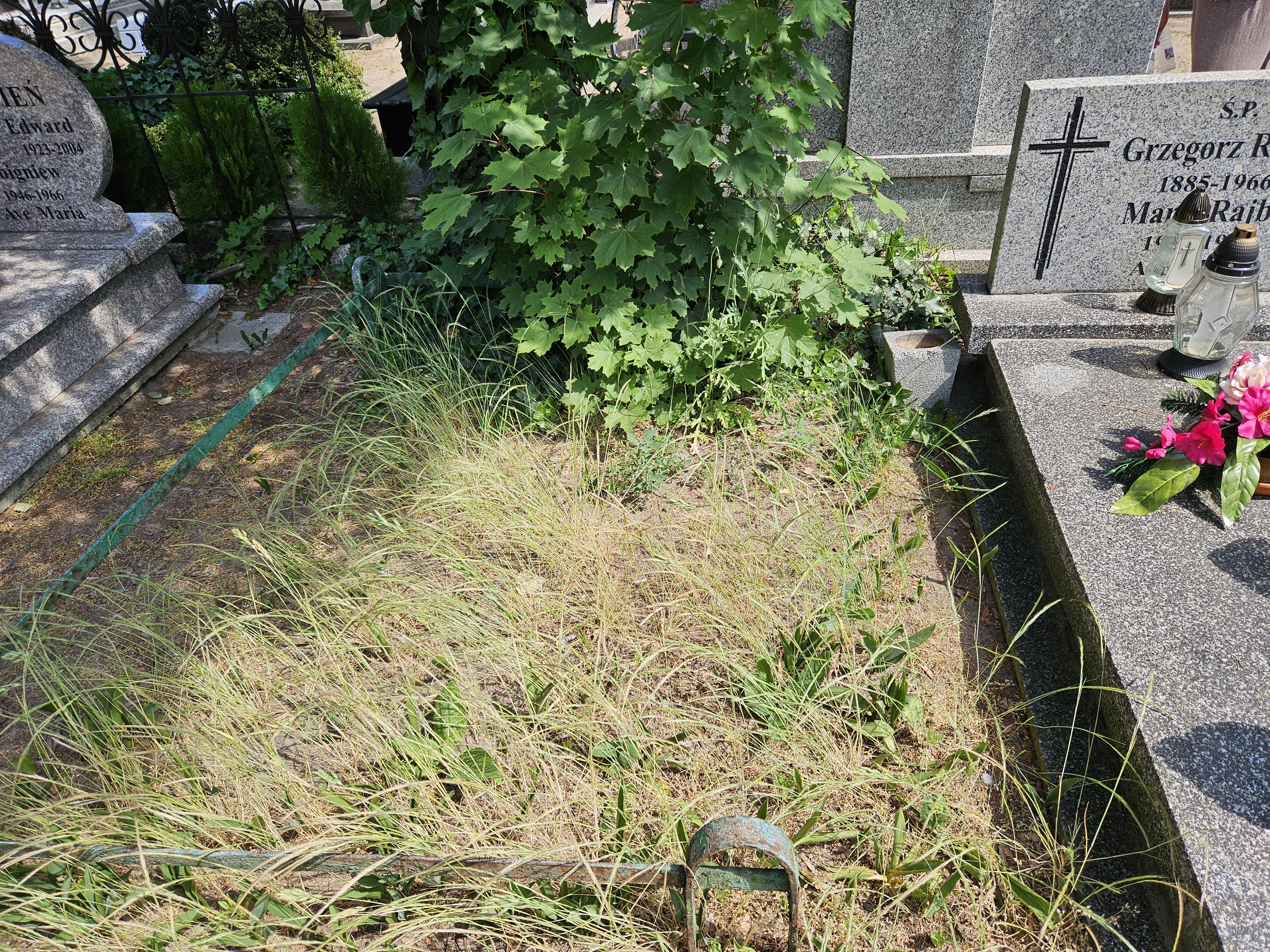   Nowa Sól - Grobonet - Wyszukiwarka osób pochowanych