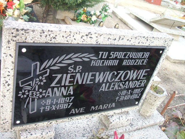 Aleksander Zieniewicz 1887 Nowa Sól - Grobonet - Wyszukiwarka osób pochowanych