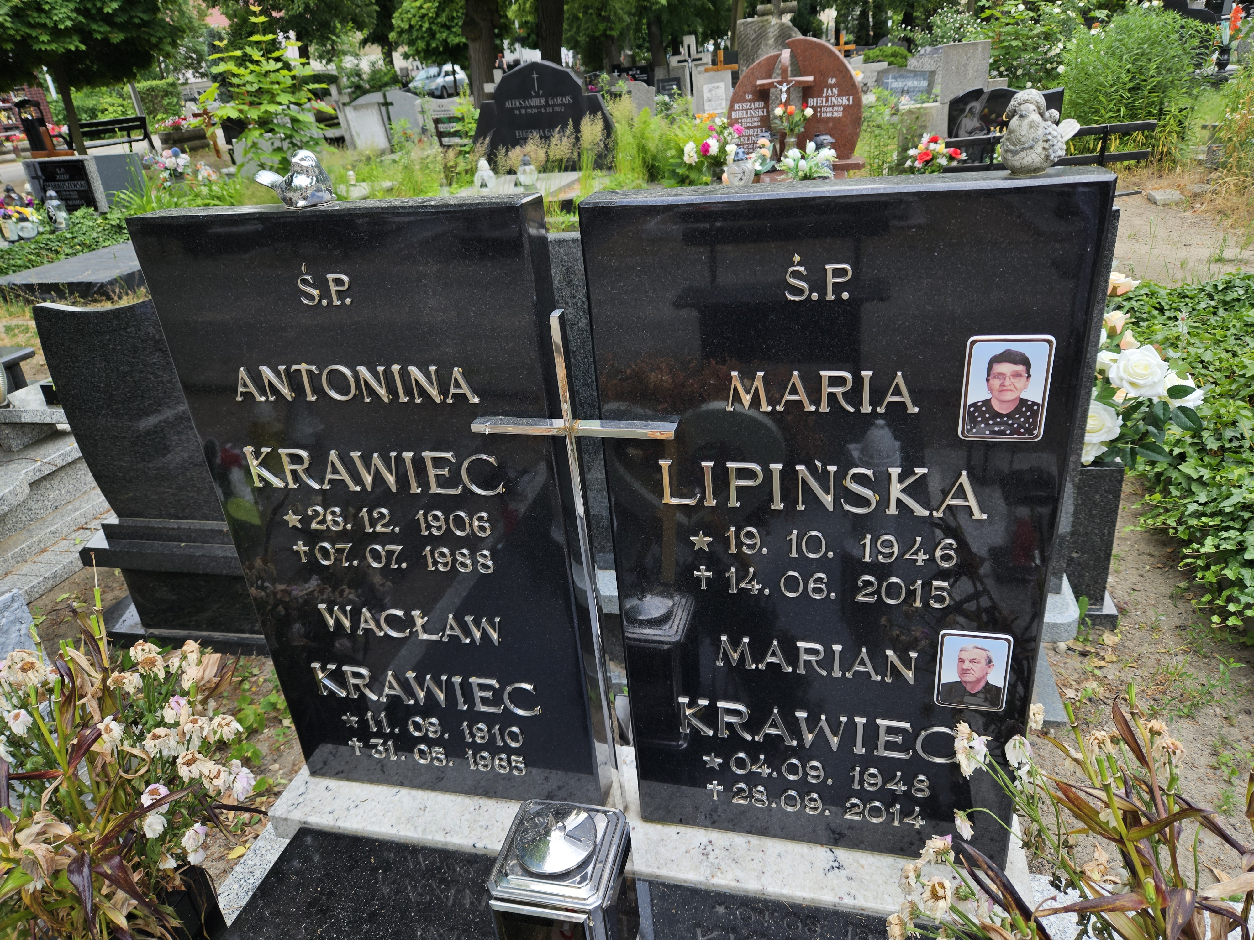 Antonina Krawiec 1906 Nowa Sól - Grobonet - Wyszukiwarka osób pochowanych