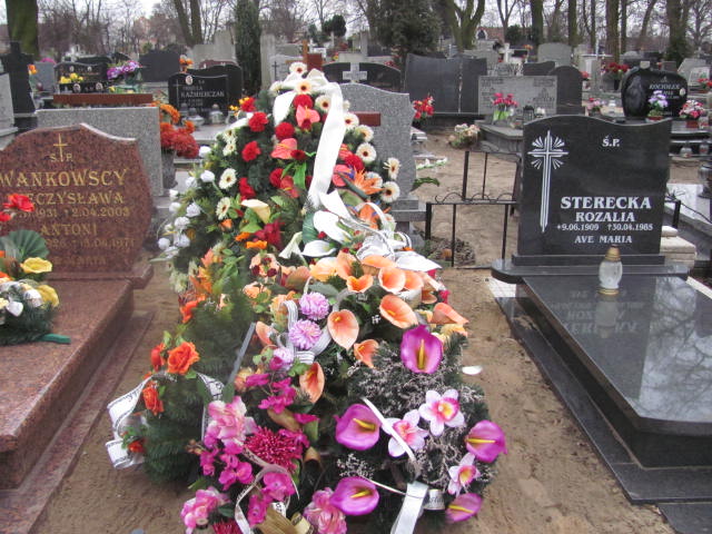 Grób Henryk Ogiński