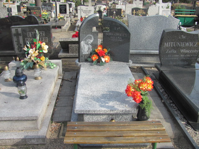 Grób Alfons Sorgowicki