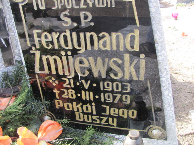 Ferdynand Żmijewski 1903 Nowa Sól - Grobonet - Wyszukiwarka osób pochowanych