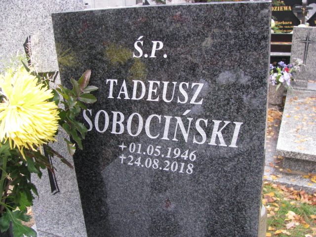 Tadeusz Sobociński 1946 Nowa Sól - Grobonet - Wyszukiwarka osób pochowanych