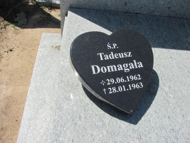 Tadeusz Domagała 1962 Nowa Sól - Grobonet - Wyszukiwarka osób pochowanych