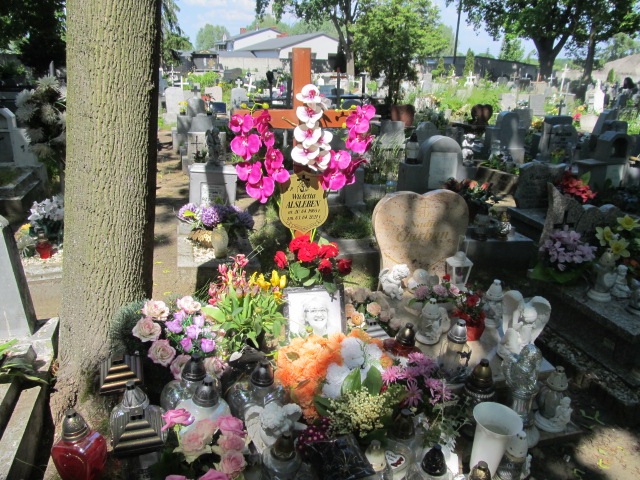 Wioletta Alsleben 1965 Nowa Sól - Grobonet - Wyszukiwarka osób pochowanych