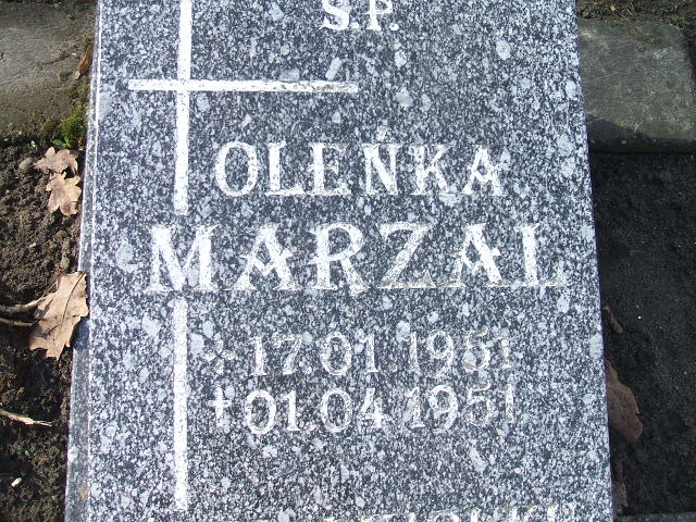 Aleksandra Marzal 1951 Nowa Sól - Grobonet - Wyszukiwarka osób pochowanych