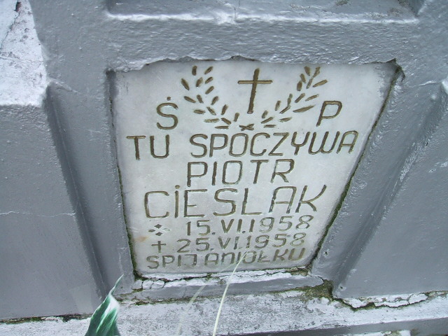 Piotr Cieślak 1958 Nowa Sól - Grobonet - Wyszukiwarka osób pochowanych