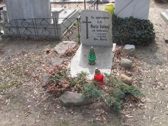 Grób Maria Kalwaj