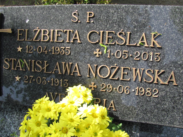 Elżbieta Cieślak 1935 Nowa Sól - Grobonet - Wyszukiwarka osób pochowanych