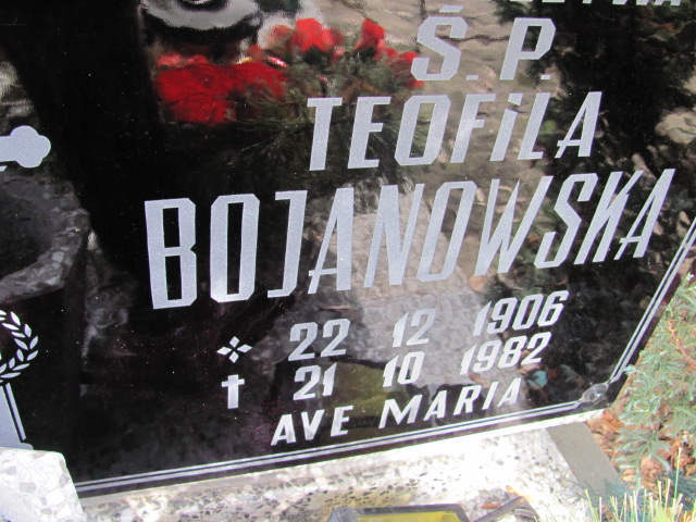 Władysław Brzozowski 1944 Nowa Sól - Grobonet - Wyszukiwarka osób pochowanych