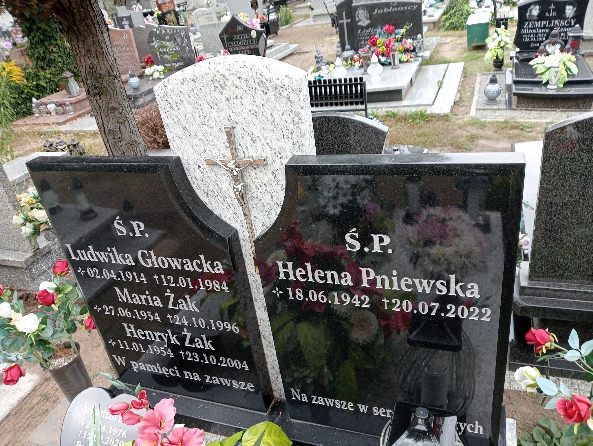 Maria Żak 1954 Nowa Sól - Grobonet - Wyszukiwarka osób pochowanych