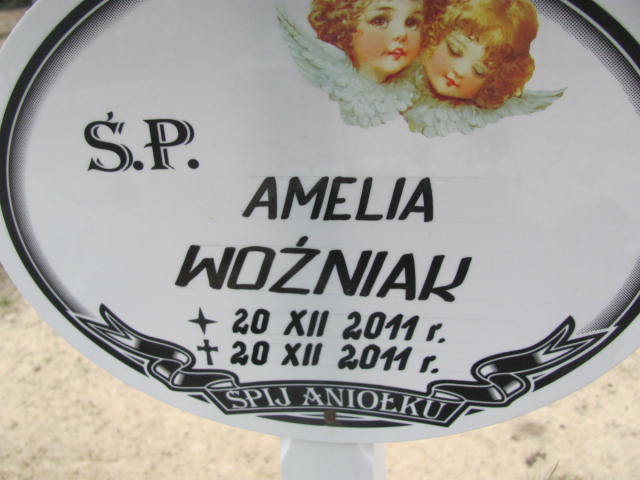 Amelia Woźniak 2011 Nowa Sól - Grobonet - Wyszukiwarka osób pochowanych